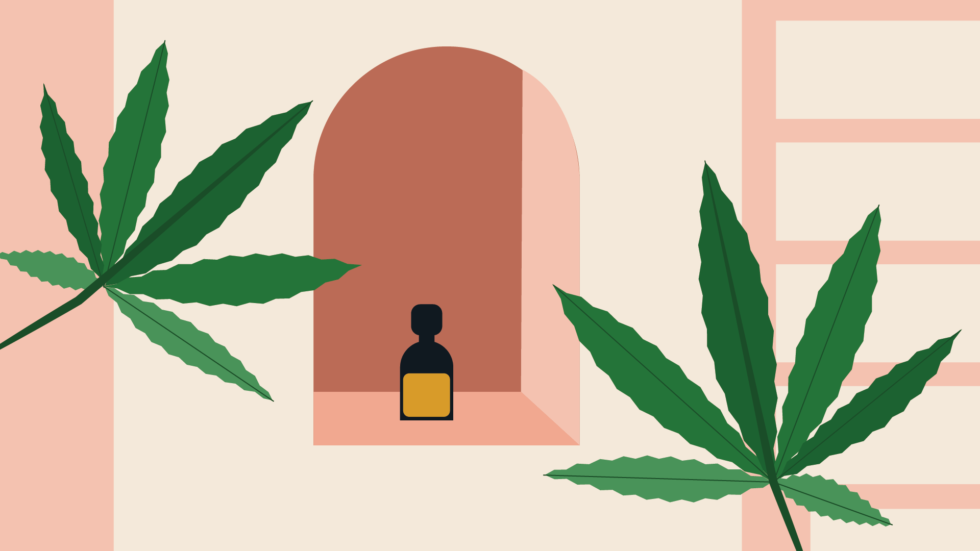 Biodegradable Weed Bags Emballage de cannabis respectueux de l'environnement