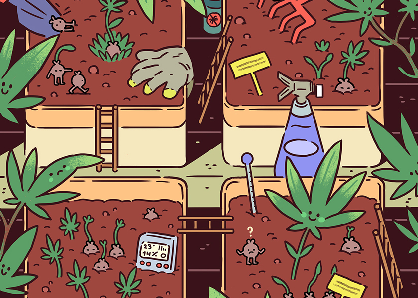 Le code QR a permis aux sachets CBD