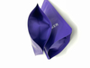Fabricant fournisseur de sacs de sang à bec pour jus, sacs en Mylar personnalisés, pochette debout 3.5