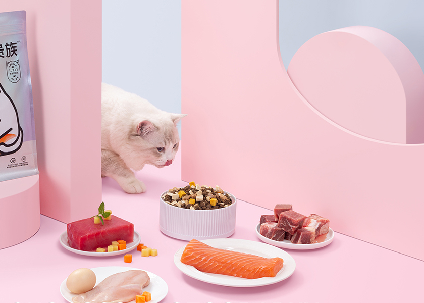 Parfait pour le stockage des aliments pour chiens de grande race