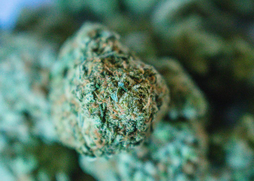 Sacs Mylar recyclables transparents pour Gummies CBD