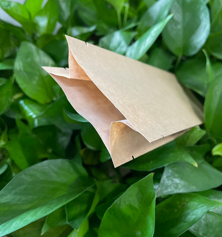 Dos imprimé personnalisé scellé avec un sac à soufflet latéral pour le pain, les gâteaux, les collations, les chips, l'emballage alimentaire avec poignée