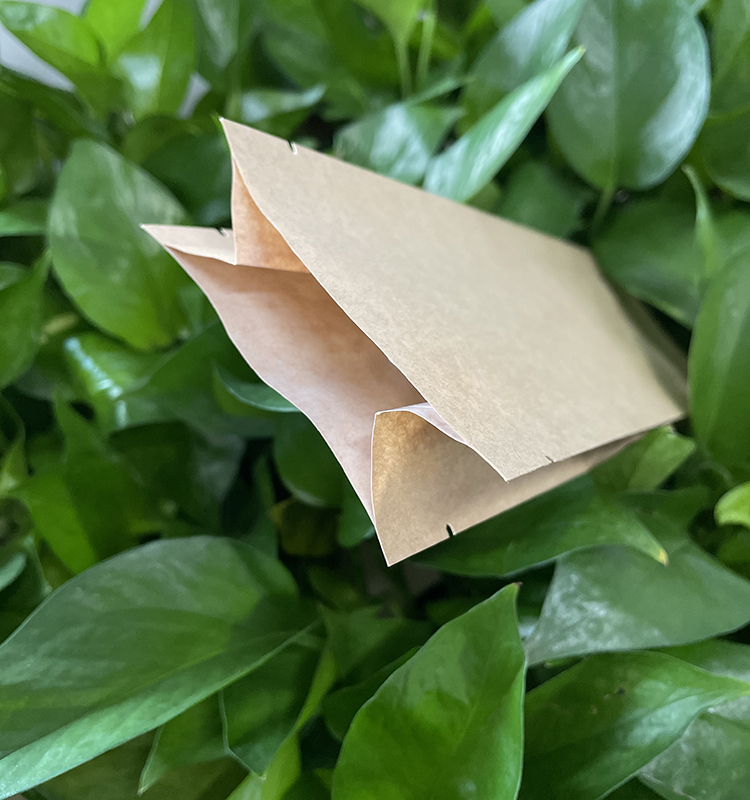 Dos imprimé personnalisé scellé avec un sac à soufflet latéral pour le pain, les gâteaux, les collations, les chips, l'emballage alimentaire avec poignée