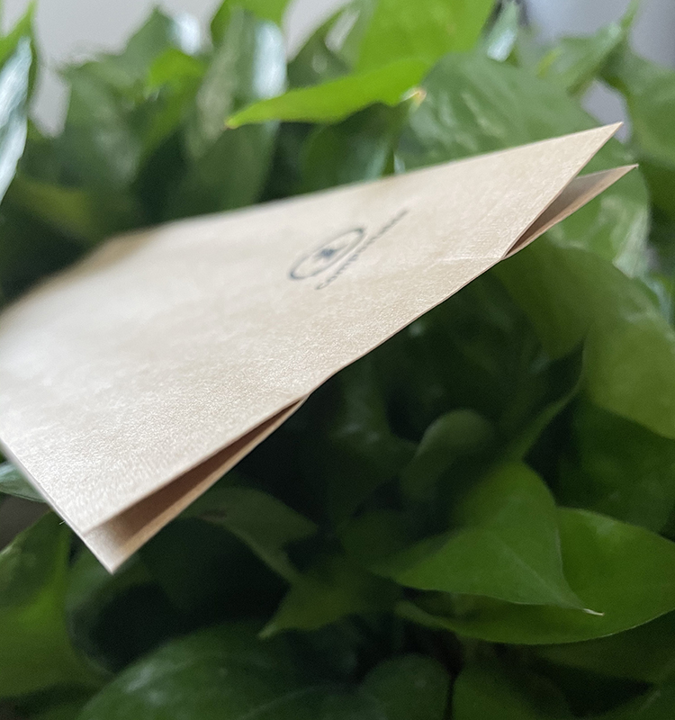 Dos imprimé personnalisé scellé avec un sac à soufflet latéral pour le pain, les gâteaux, les collations, les chips, l'emballage alimentaire avec poignée