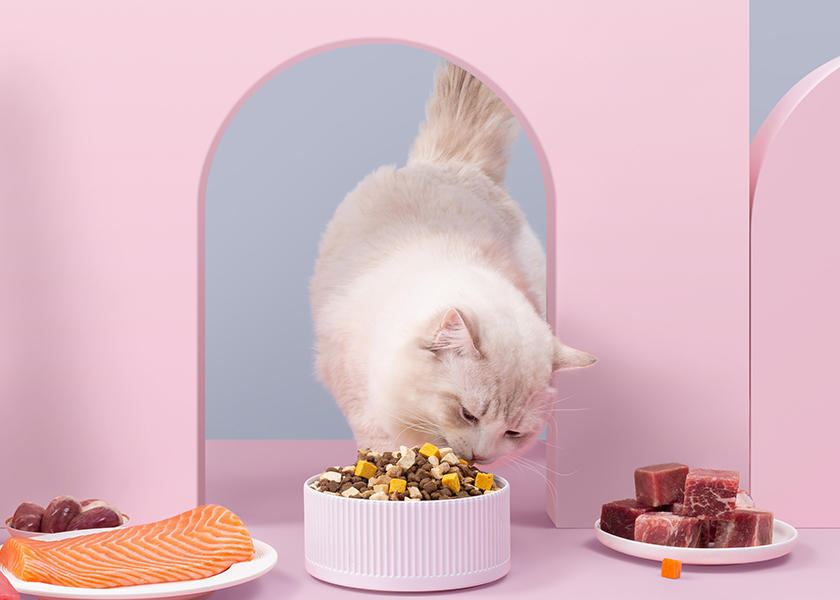 Emballage durable pour la nourriture pour animaux