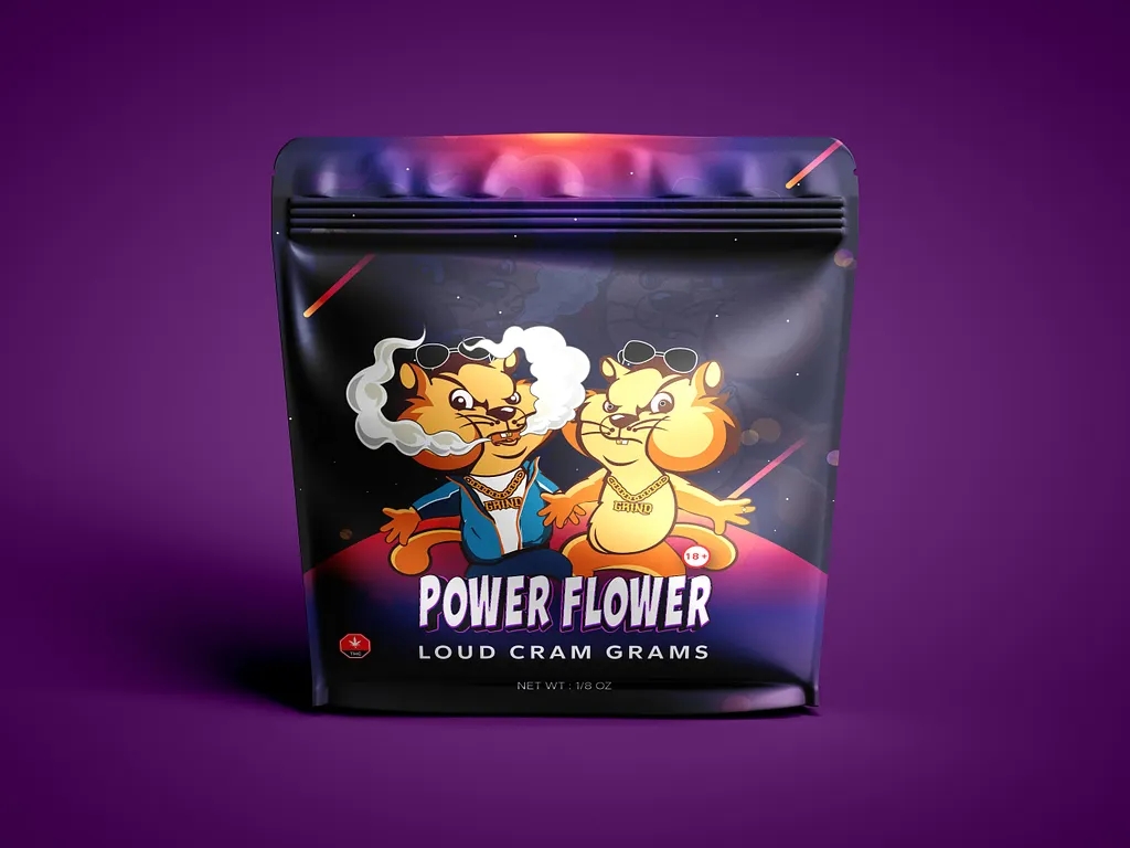 sac debout en plastique