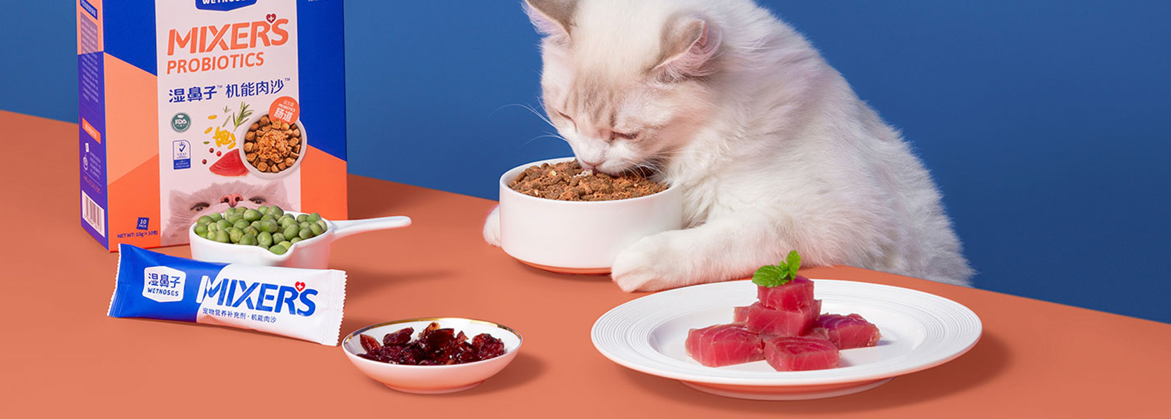 Récipient pour animaux de compagnie avec poignée