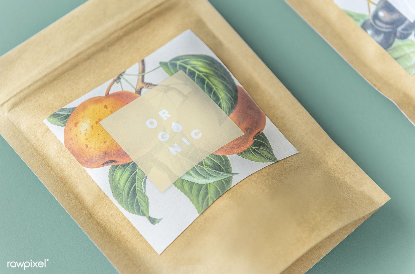 entreprise de sacs biod&eacute;gradables