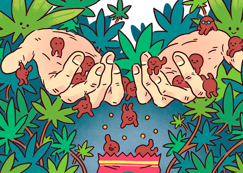 Fournisseurs d'emballage du cannabis mylar
