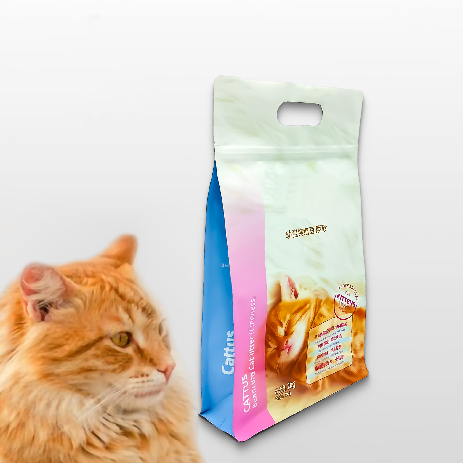 Poly sac rapide marqué par voyage de chat de chien de Gusseted d'emballage en plastique emballé pour la catégorie comestible